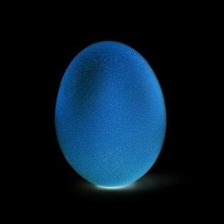 still cant figure out what this thing is